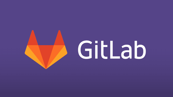 Configure https for gitlab and all gitlab cloning url on apache server